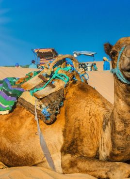 Нова година 2026 в Тунис, със самолет от София - 6 нощувки